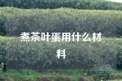 煮茶叶蛋用什么材料