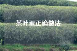 茶叶蛋正确做法