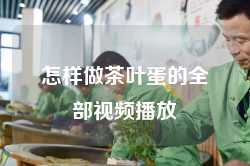 怎样做茶叶蛋的全部视频播放
