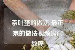 茶叶蛋的做法 最正宗的做法视频窍门教程