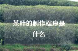 茶叶的制作程序是什么