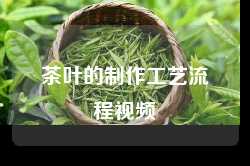 茶叶的制作工艺流程视频