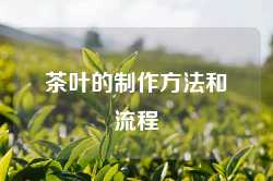 茶叶的制作方法和流程