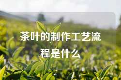 茶叶的制作工艺流程是什么