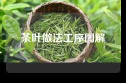 茶叶做法工序图解