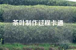 茶叶制作过程卡通