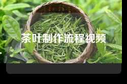 茶叶制作流程视频