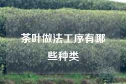 茶叶做法工序有哪些种类