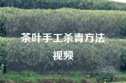 茶叶手工杀青方法视频