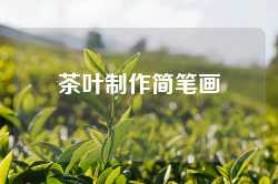 茶叶制作简笔画