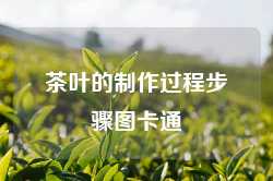 茶叶的制作过程步骤图卡通