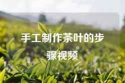 手工制作茶叶的步骤视频