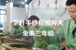茶叶手抄报图片大全集三年级