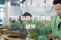 茶叶做的手工作品视频