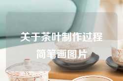 关于茶叶制作过程简笔画图片