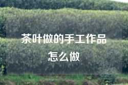 茶叶做的手工作品怎么做