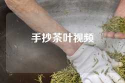 手抄茶叶视频