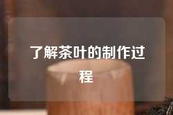 了解茶叶的制作过程