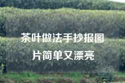 茶叶做法手抄报图片简单又漂亮