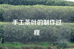 手工茶叶的制作过程