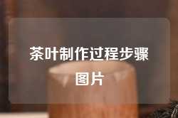茶叶制作过程步骤图片