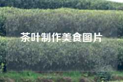 茶叶制作美食图片