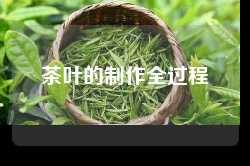茶叶的制作全过程