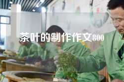 茶叶的制作作文800