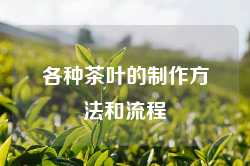各种茶叶的制作方法和流程