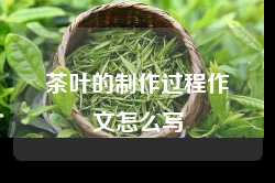 茶叶的制作过程作文怎么写