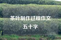 茶叶制作过程作文五十字