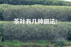茶叶有几种做法?