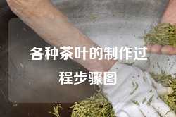 各种茶叶的制作过程步骤图
