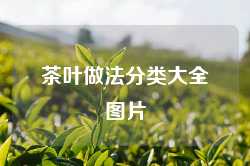 茶叶做法分类大全图片