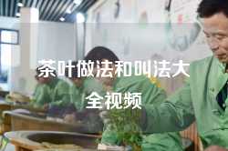 茶叶做法和叫法大全视频