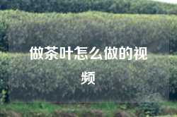 做茶叶怎么做的视频