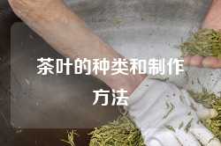 茶叶的种类和制作方法