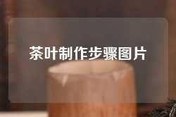 茶叶制作步骤图片