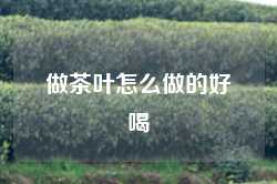 做茶叶怎么做的好喝