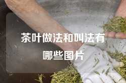 茶叶做法和叫法有哪些图片