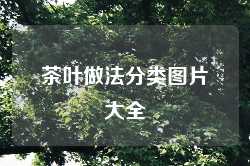 茶叶做法分类图片大全