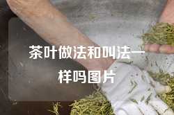 茶叶做法和叫法一样吗图片