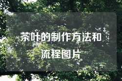 茶叶的制作方法和流程图片