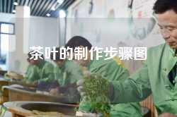 茶叶的制作步骤图