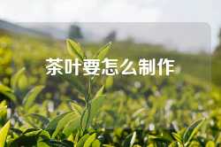 茶叶要怎么制作