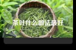 茶叶什么做法最好