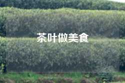 茶叶做美食