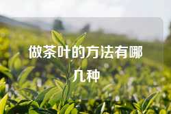 做茶叶的方法有哪几种