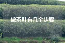 做茶叶有几个步骤