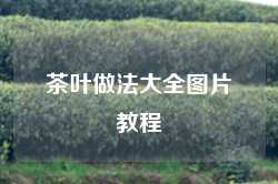 茶叶做法大全图片教程